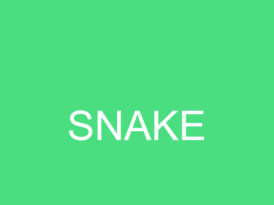 Snake Game